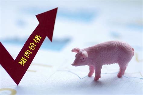 为什么猪价上涨期货跌