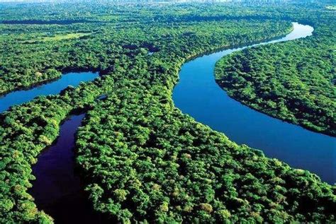 为什么说亚马逊河很恐怖