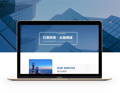 丽江企业网站开发代理