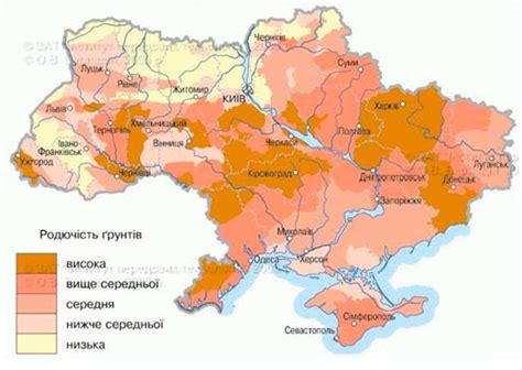 乌克兰的概况2024