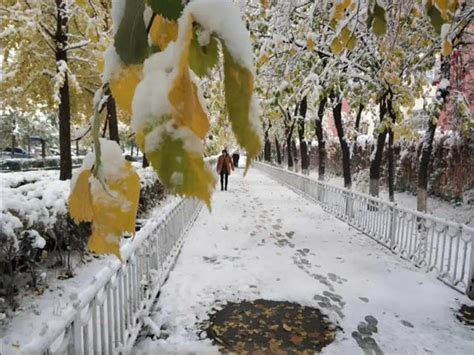乌鲁木齐下雪的照片