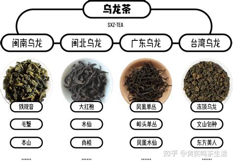 乌龙茶的工艺起源