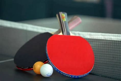 乒乓球与网球学哪个好些