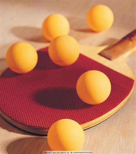 乒乓球个人运动用品