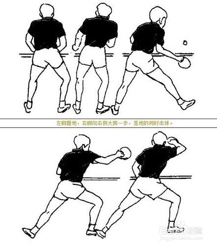 乒乓球五种步法