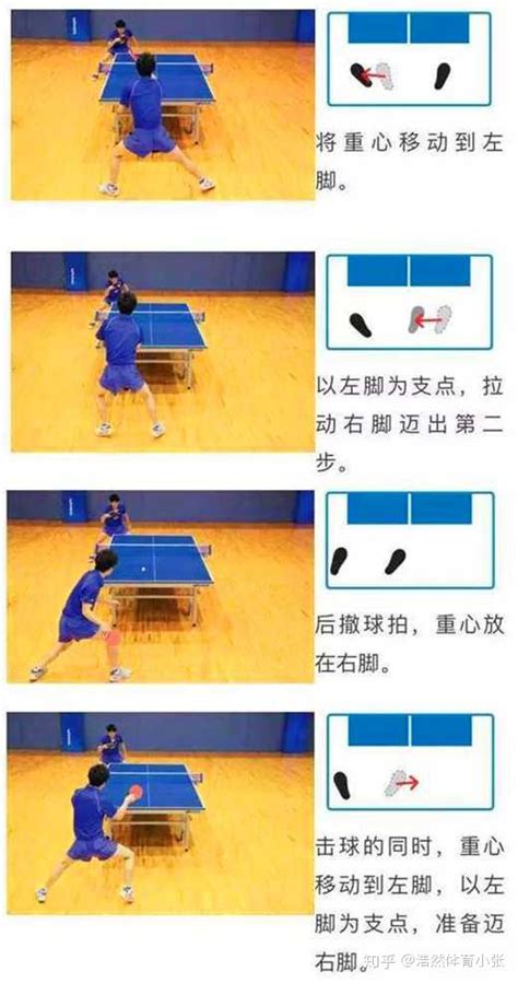 乒乓球使用最多的步法