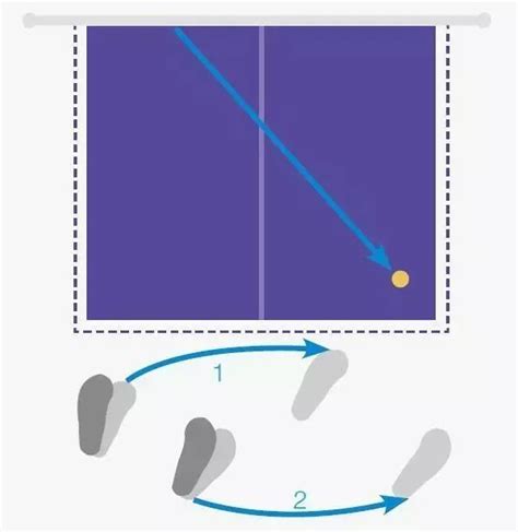乒乓网超详细步法
