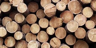 买卖木材专用的app