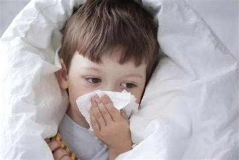 二周岁多的宝宝经常感冒怎么办