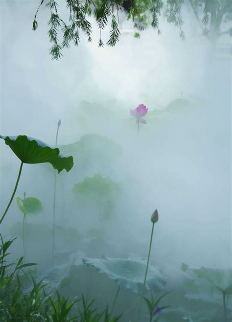 云里雾里雾里看花的意思