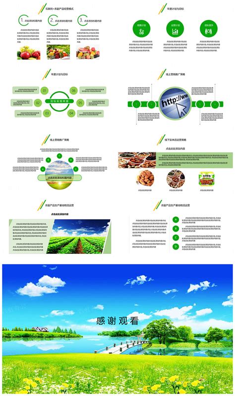 互联网农产品项目计划书