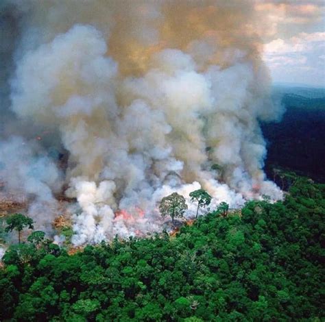 亚马逊森林大火
