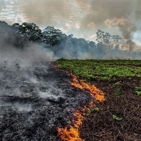 亚马逊流域火灾