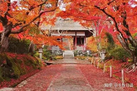 京都和奈良的深秋图片