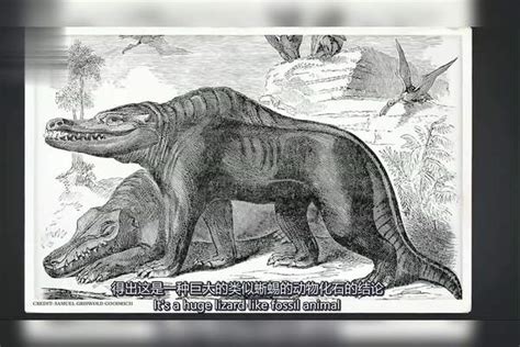 人类史上第一只恐龙