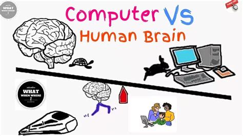 人脑与电脑是说明文吗