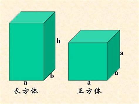 什么是长方体和正方体