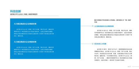 企业seo项目描述