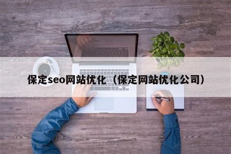 保定seo网络优化公司