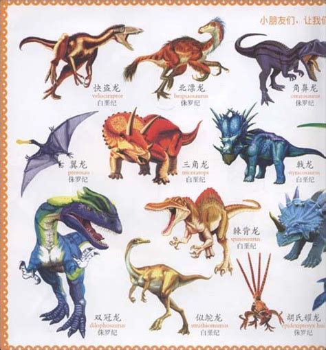 儿童常见恐龙的图片和名字