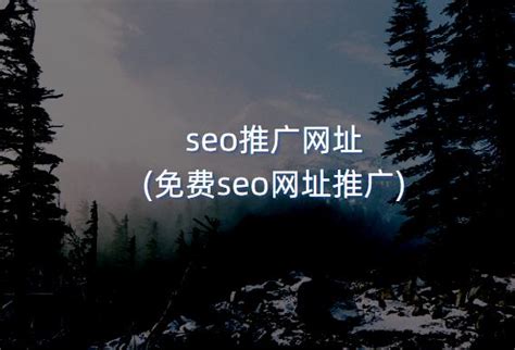 免费的seo网址推广