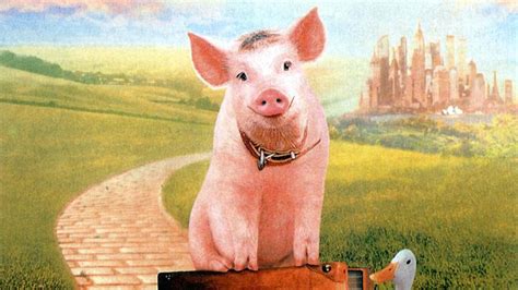 免费观看小猪宝贝的电影