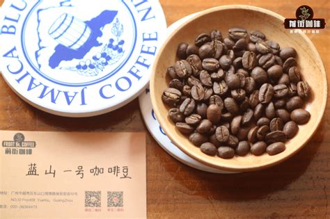 全世界最好咖啡豆排名
