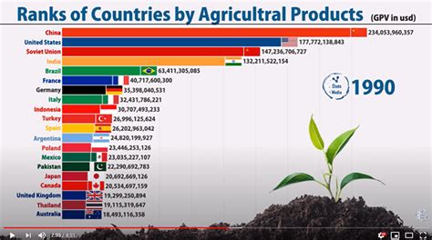全球各国粮食产量