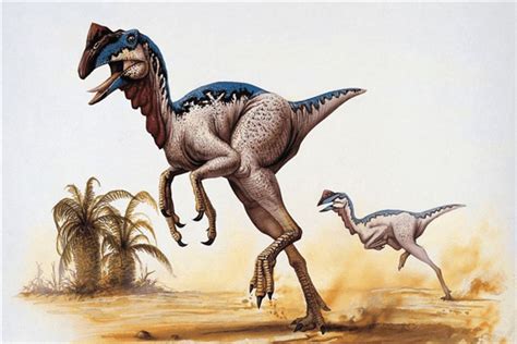 全球第一只恐龙