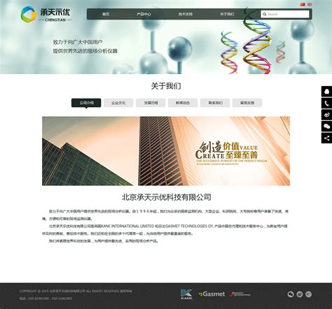 公司网站优化南京