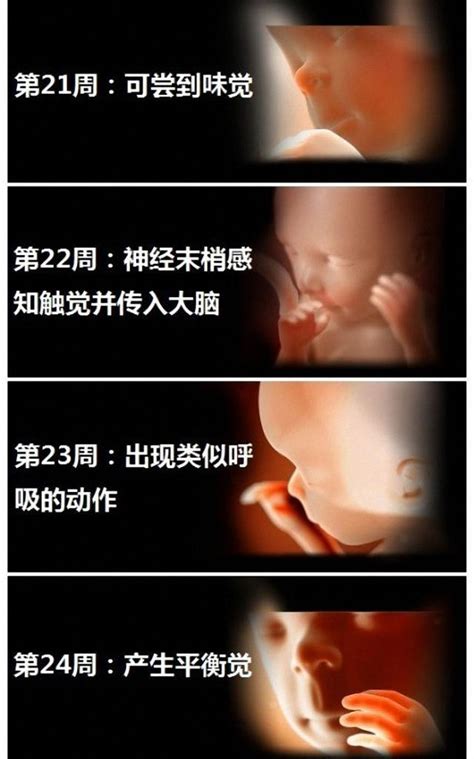 六个月胎儿引产过程