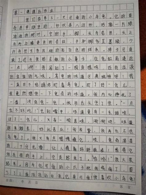 关于汉字的作文600字