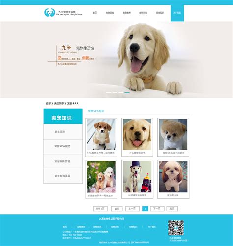关于狗狗的网页设计制作