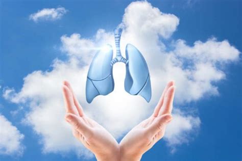 关于肺的养生方法