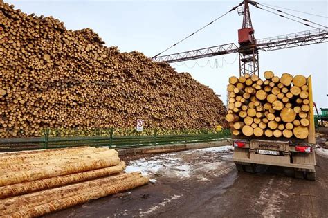 兴宁市木材批发市场