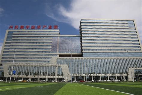 兴庆区一站式网站建设方案