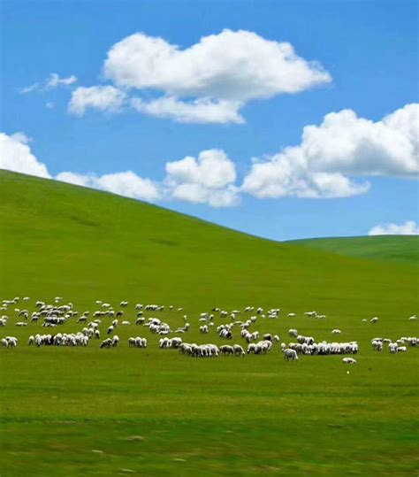 内蒙古有哪些草原景区
