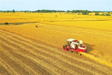 农业农村部部署今年小麦机收工作