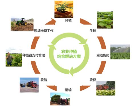 农业推广模式和方法的图