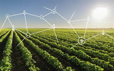 农业科技推广网