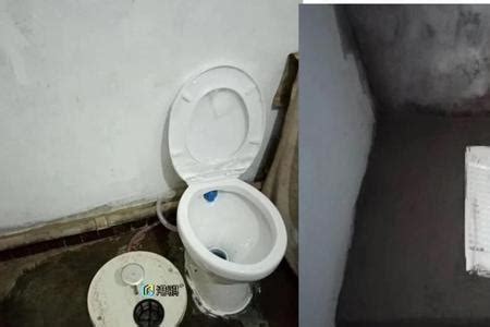 农村简装一个厕所费用