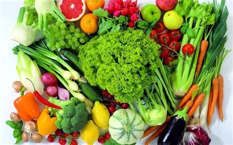 冬季能种的蔬菜有什么