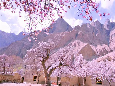 几月份去新疆旅游最好