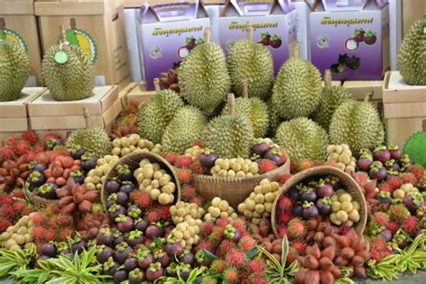 出口泰国水果需要什么认证