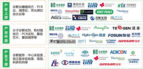 分子诊断公司排名中国