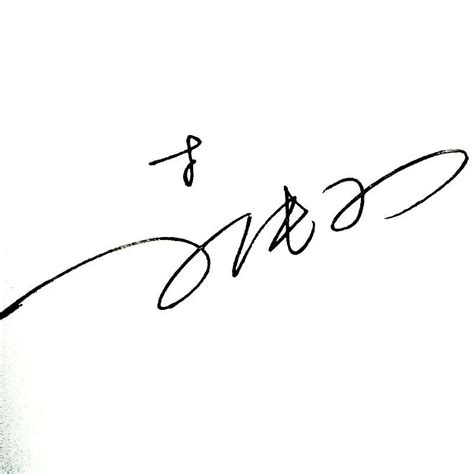 刘小艳艺术签名