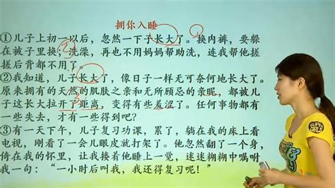 初中语文讲解视频