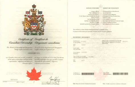 加拿大保险行业证