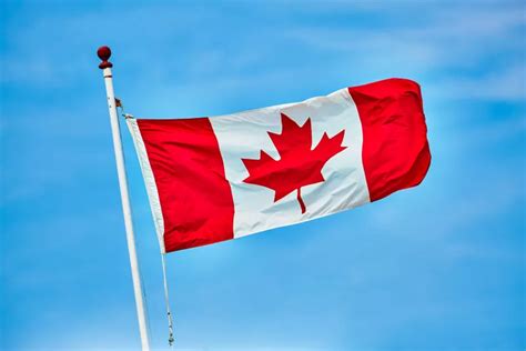 加拿大劳务签证到期了怎么办