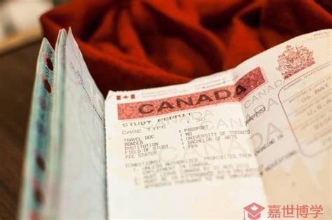 加拿大大签遗失了怎么办